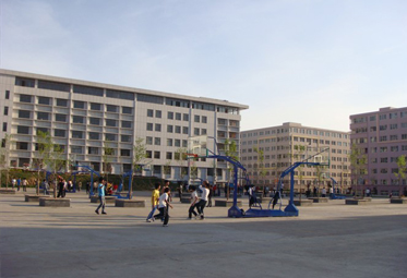 篮球场地